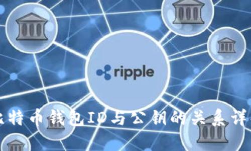 比特币钱包ID与公钥的关系详解