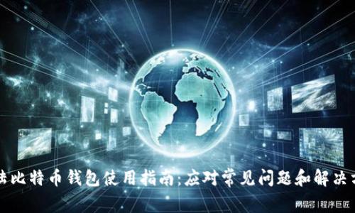 大陆比特币钱包使用指南：应对常见问题和解决方案