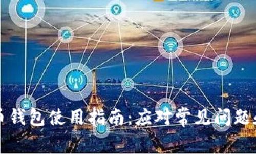 大陆比特币钱包使用指南：应对常见问题和解决方案