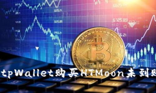 如何解决tpWallet购买HTMoon未到账的问题？