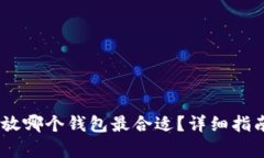 USDT存放哪个钱包最合适？详细指南与推荐