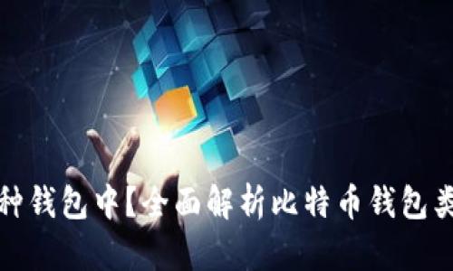 比特币存在哪种钱包中？全面解析比特币钱包类型及其安全性