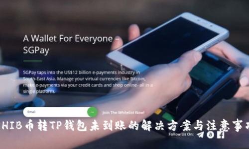 SHIB币转TP钱包未到账的解决方案与注意事项