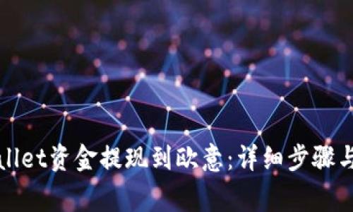 : 如何将tpWallet资金提现到欧意：详细步骤与常见问题解析