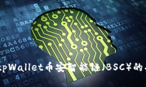 全面解析：tpWallet币安智能链（BSC）的功能与优势