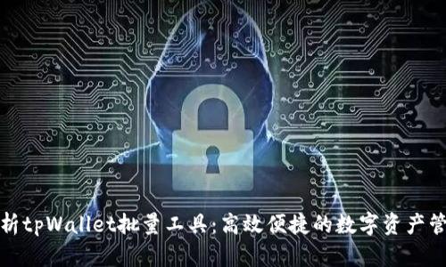 全面解析tpWallet批量工具：高效便捷的数字资产管理方案