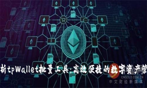 全面解析tpWallet批量工具：高效便捷的数字资产管理方案