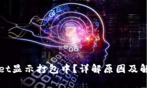 tpWallet显示打包中？详解原因及解决方法