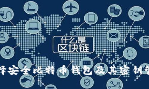如何选择安全比特币钱包及其密钥管理策略