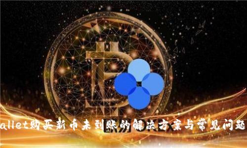 tpWallet购买新币未到账的解决方案与常见问题解析