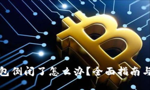 比特币钱包倒闭了怎么办？全面指南与应对策略