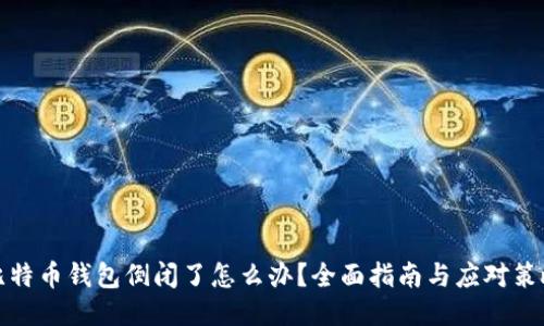 比特币钱包倒闭了怎么办？全面指南与应对策略