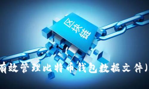 如何有效管理比特币钱包数据文件（.dat）