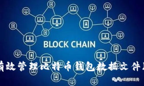 如何有效管理比特币钱包数据文件（.dat）