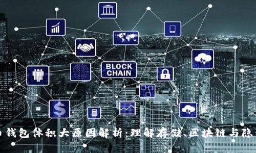 比特币钱包体积大原因解析：理解存储、区块链与隐私保护