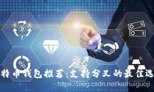 比特币钱包推荐：支持分叉的最佳选择