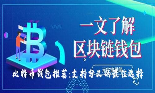 比特币钱包推荐：支持分叉的最佳选择