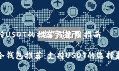 冷钱包支持USDT的推荐与使用指南最安全的冷钱包