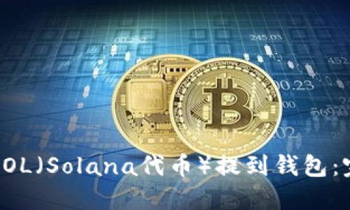 如何将SOL（Solana代币）提到钱包：完整指南